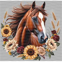 Animal Integration-DW 585